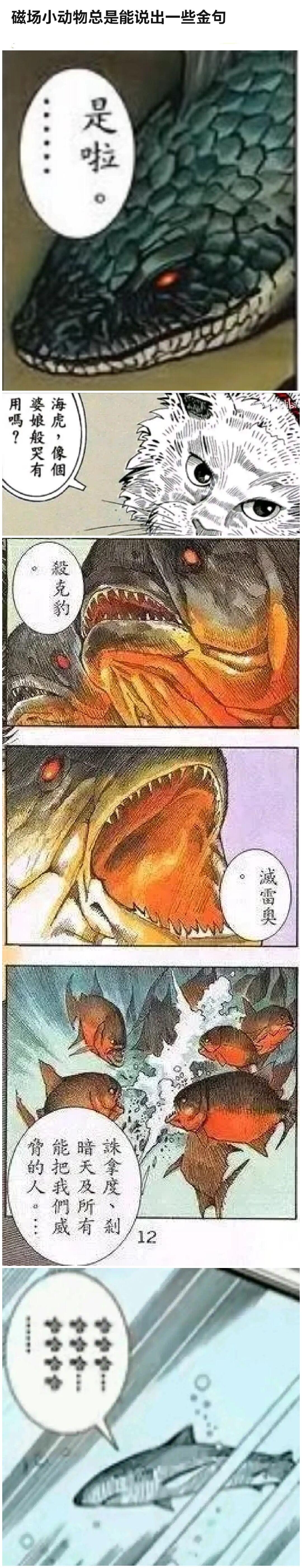 C83 からきし佣兵団 真雅 砂原渉、銭太郎 覇王树 仙人掌シリーズ総集编 NARUTO ナルト 中国翻訳 カラー化 ページ欠落-第1章-图片12