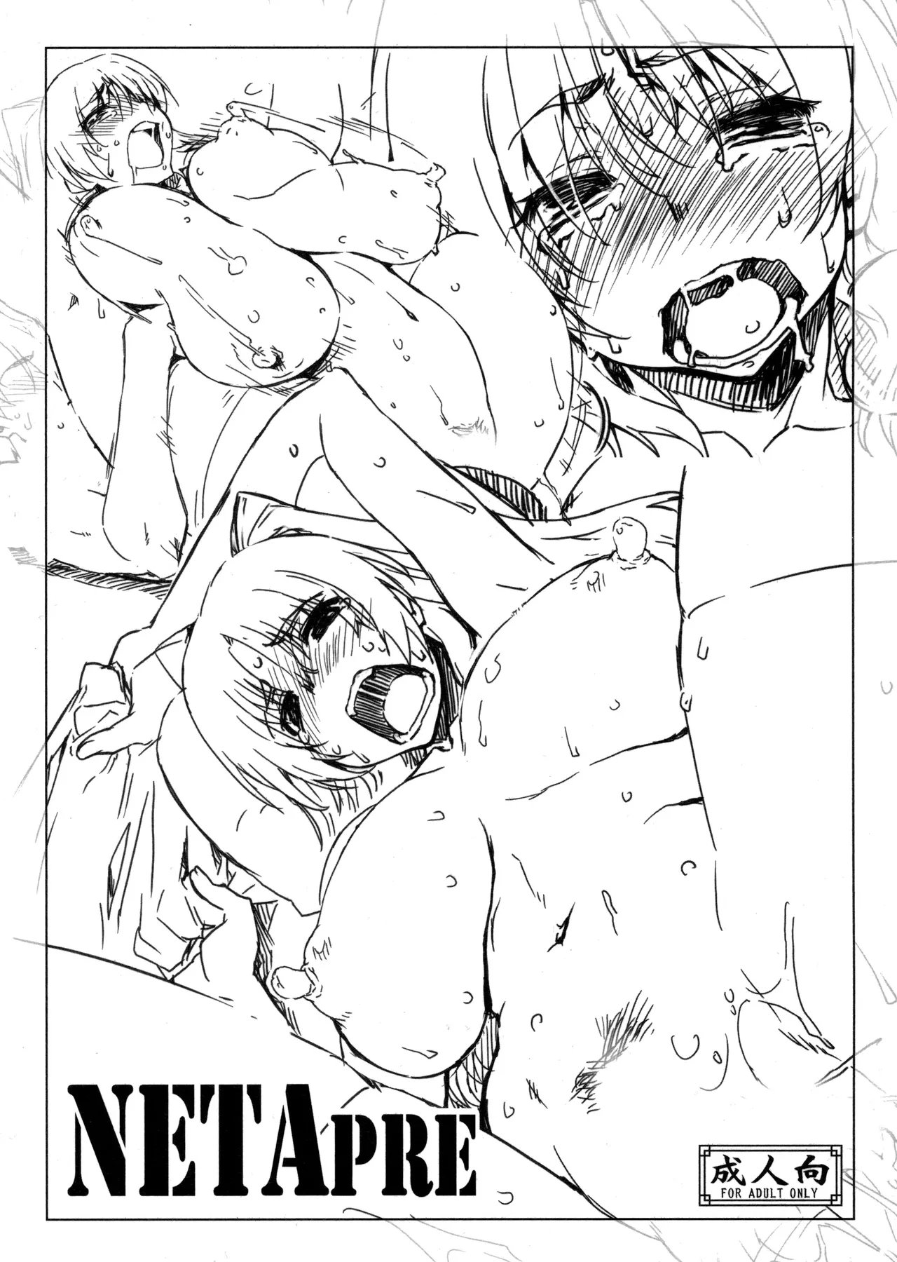 C89 沙悟荘 瀬浦沙悟 NETApre トゥハート2 中国翻訳