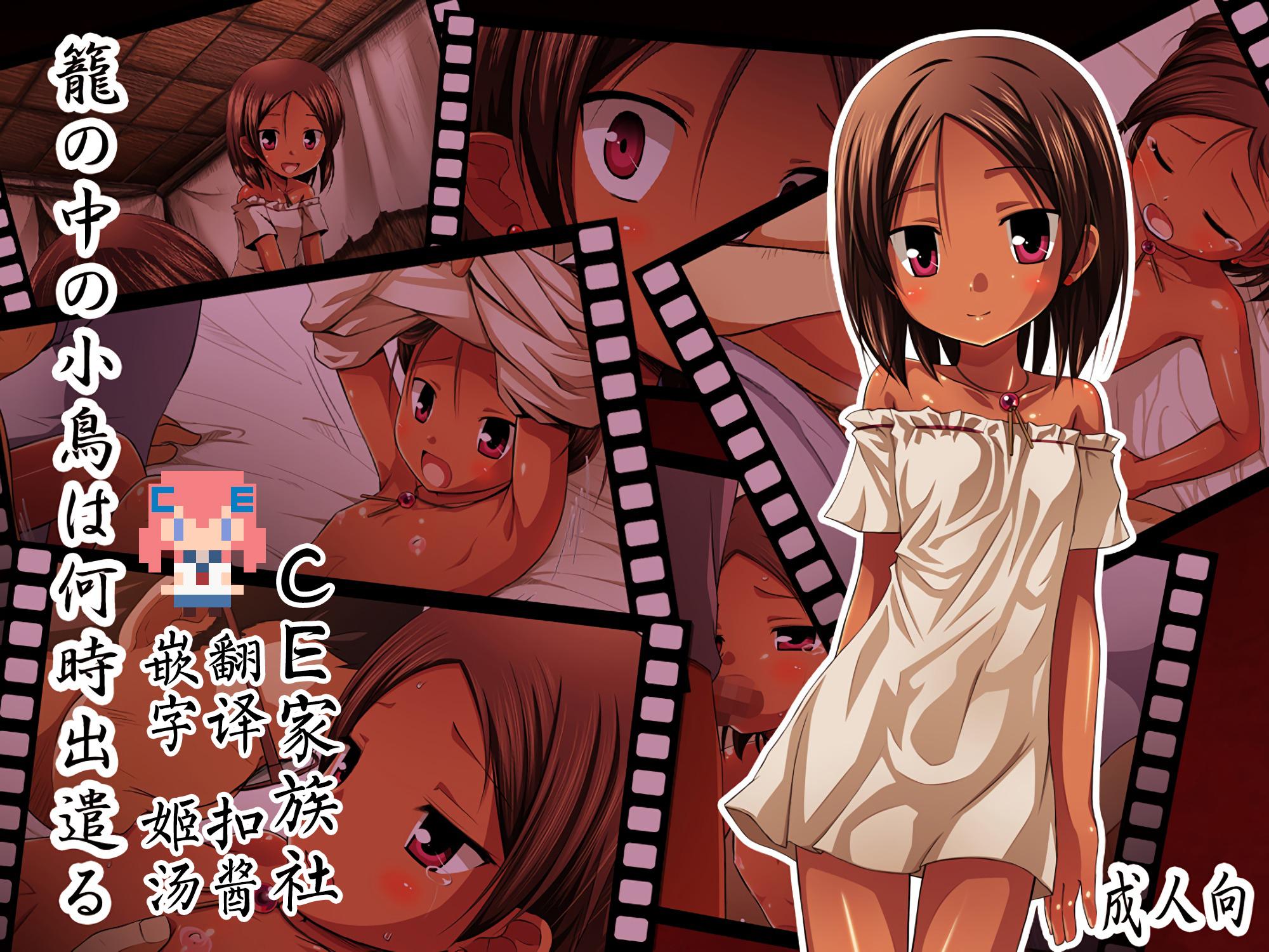 ノラネコノタマ 雪野みなと 笼の中の小鸟は何时出遣る 総彩色版 中国翻訳 DL版