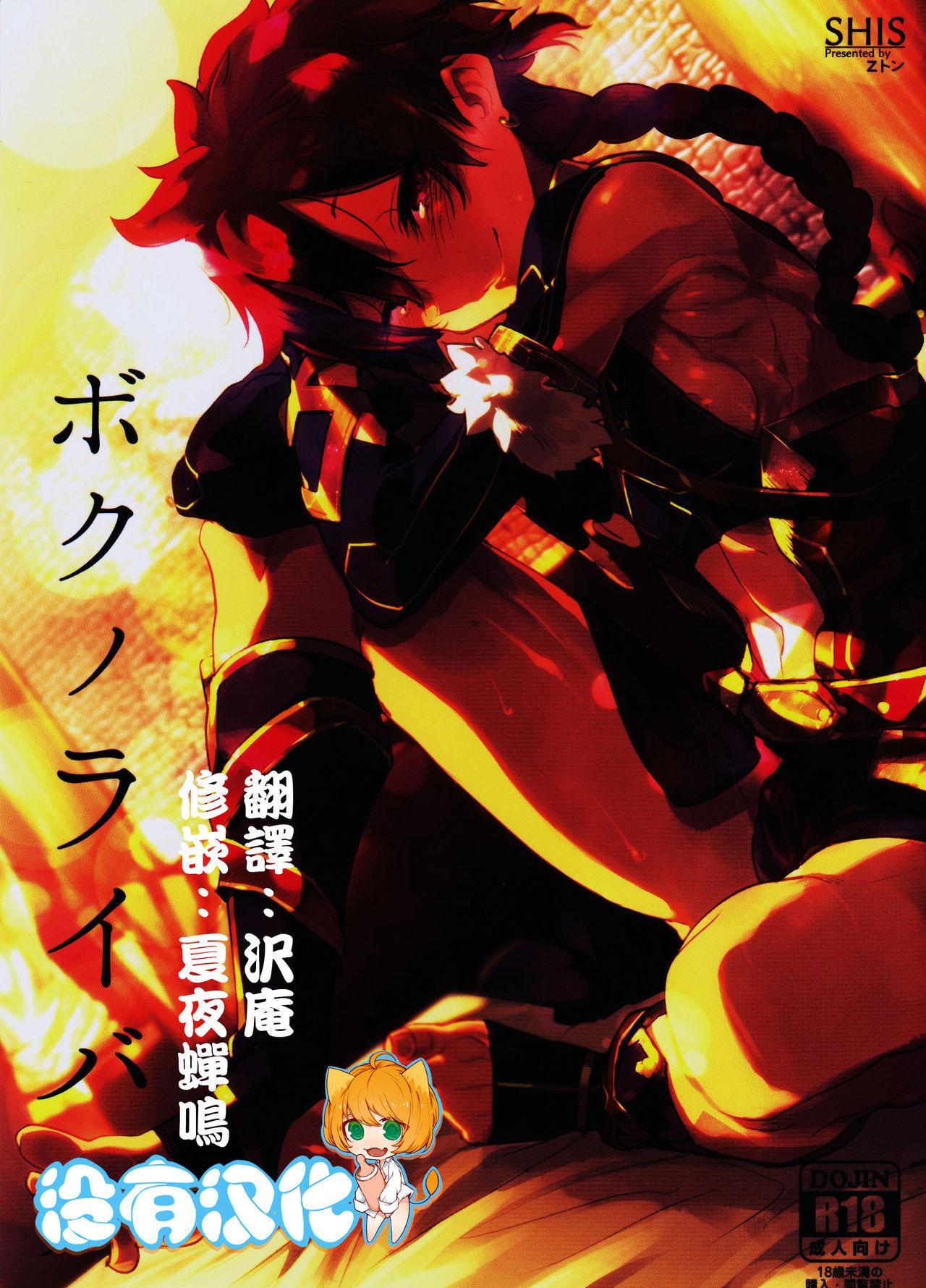 C90 SHIS Zトン ボクノライバル FateGrand Order 中国翻訳