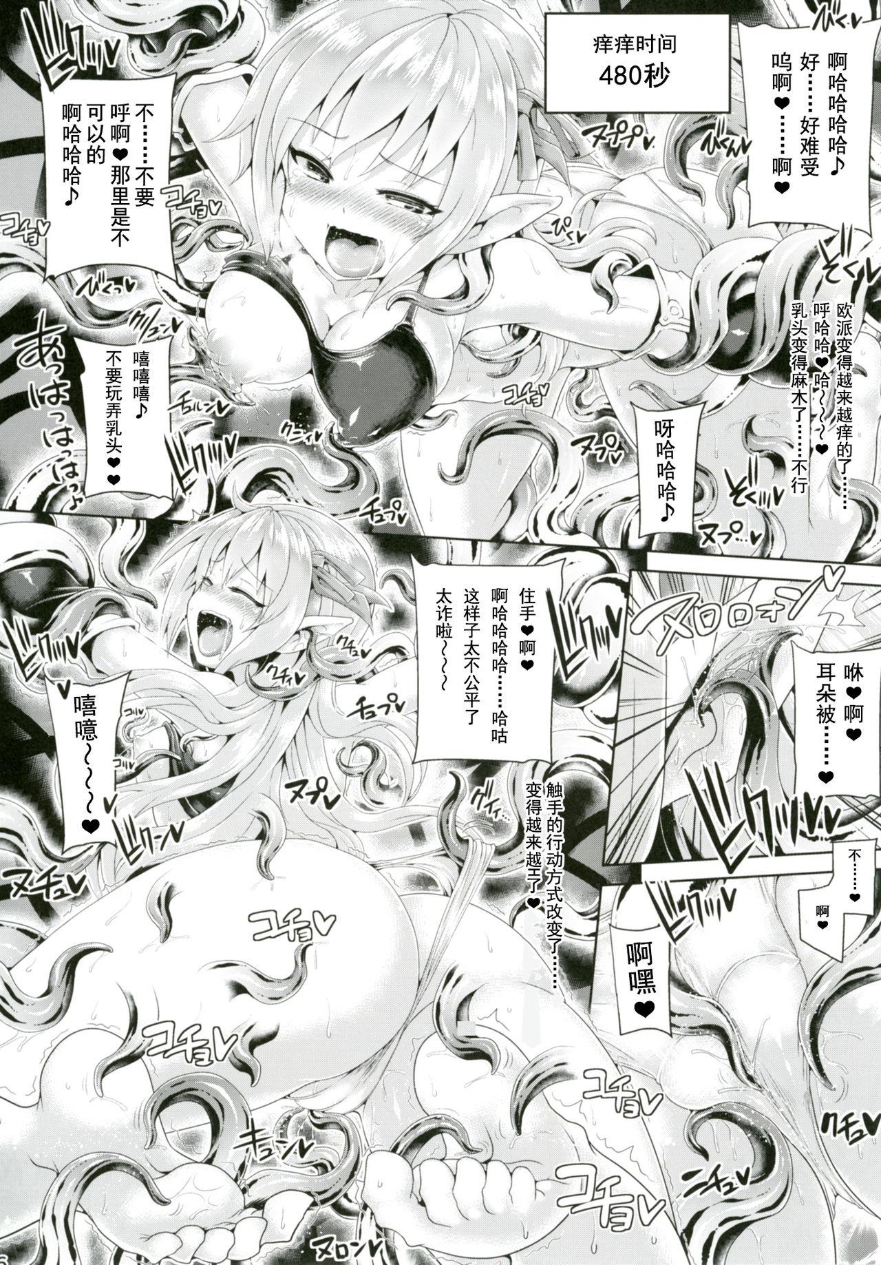 ぱむの巣 こっぱむ こちょばぁす シャドウバース  中国翻訳 DL版-第1章-图片15