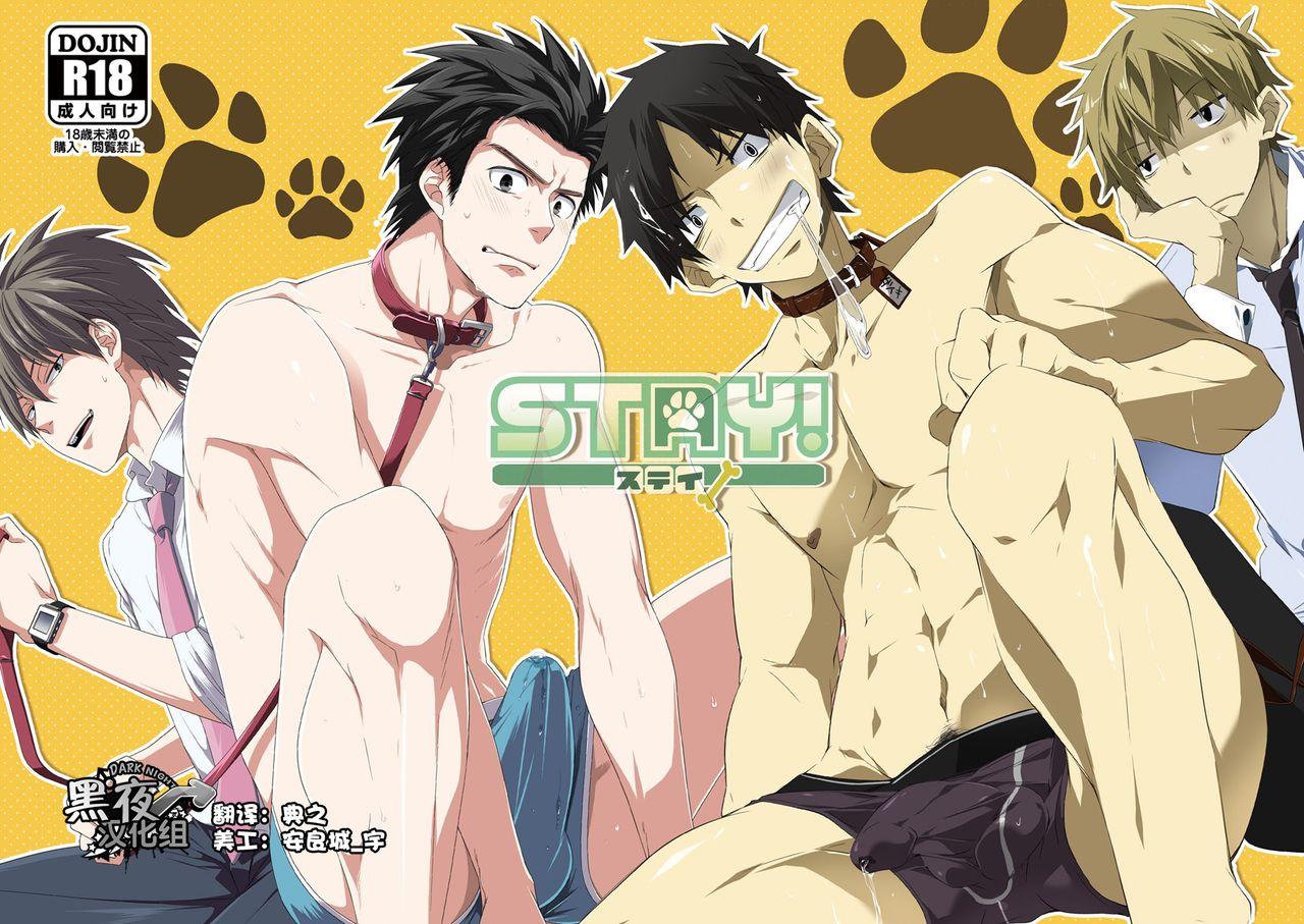 パンダ4号、RCI 志摩、ハザキ STAY! 中国翻訳 DL版