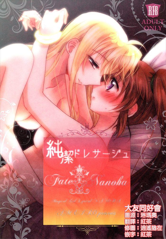C93 あめいろ 七色 纯洁ドレサージュ 魔法少女リリカルなのは 中国翻訳-第1章-图片1
