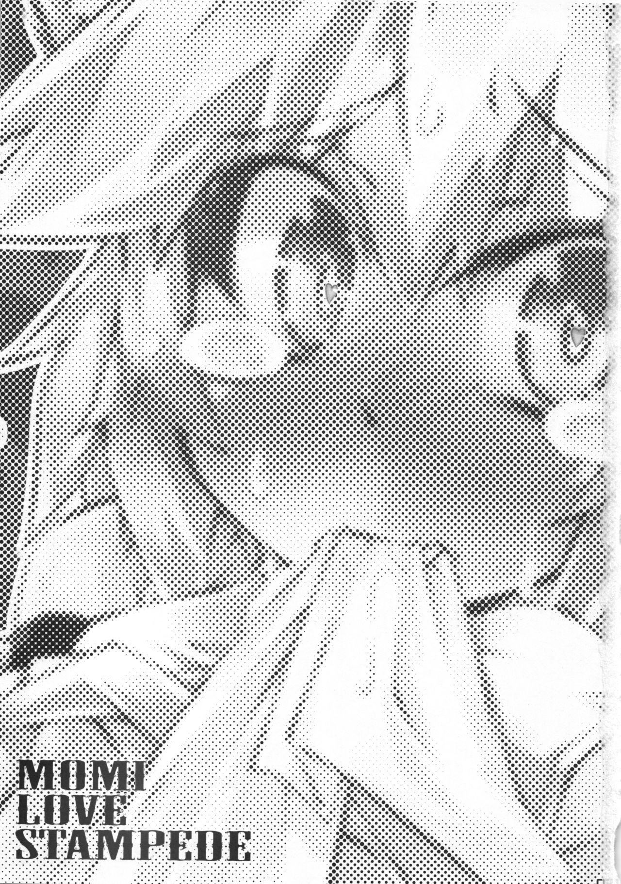 例大祭9 成宫 鸣海也 MOMI LOVE STAMPEDE 东方Project 中国翻訳-第1章-图片4