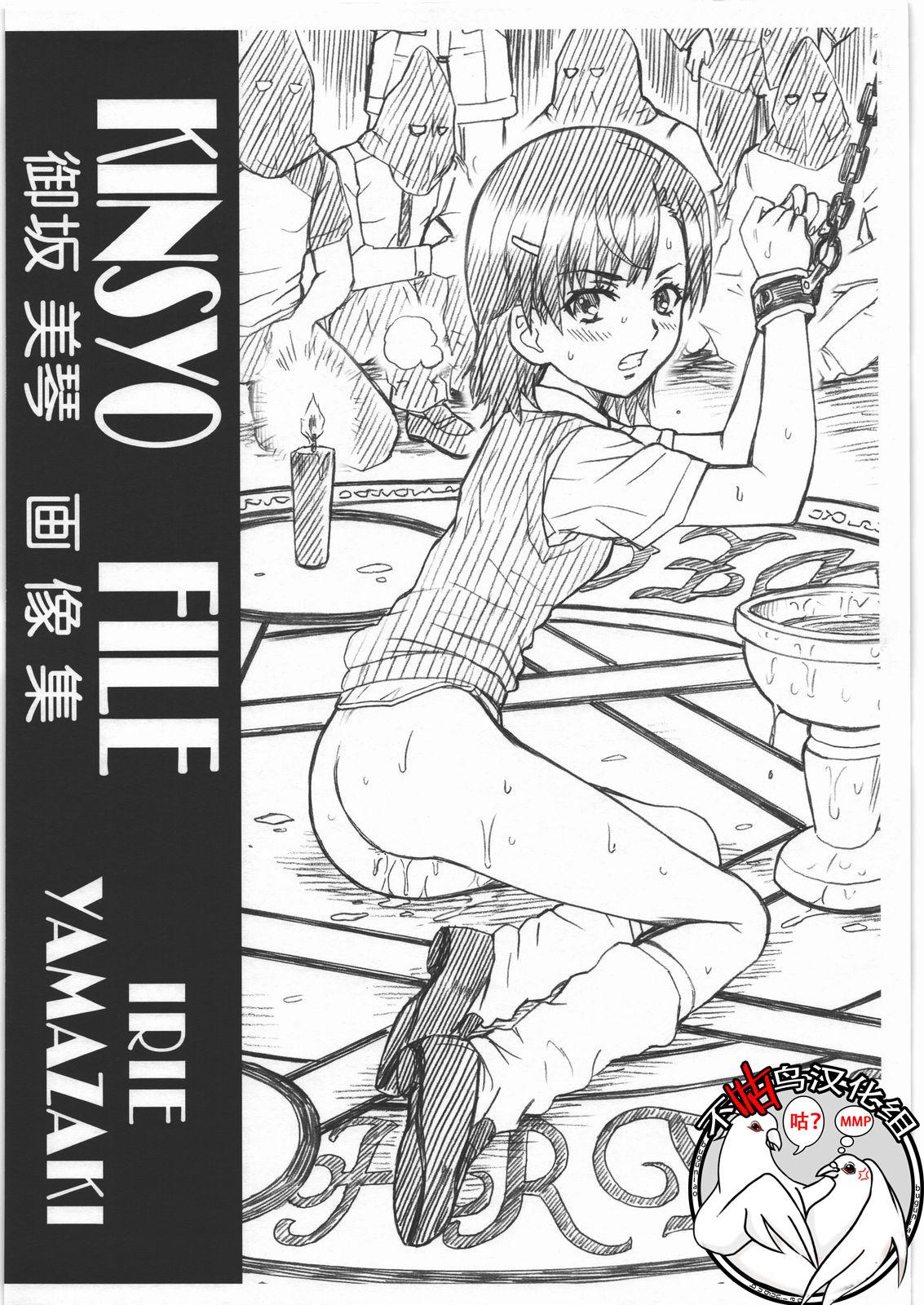 C80 RAT TAIL IRIE YAMAZAKI KINSYO FILE 御坂美琴 画像集 とある魔术の禁书目录 中国翻訳