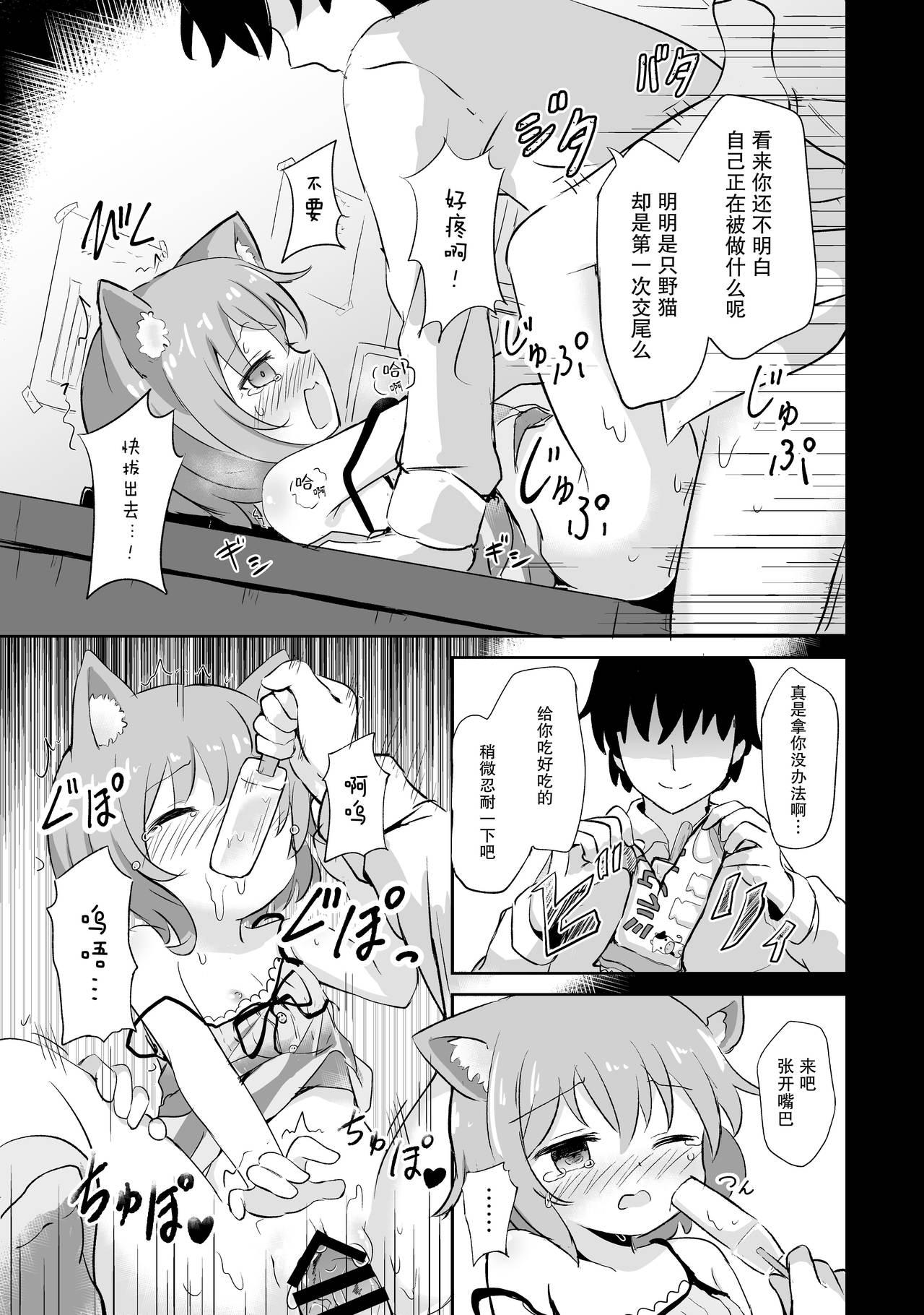 すずめねすと 雨美すずめ こねこちゃんはとってもわるいこ 中国翻訳 DL版-第1章-图片11