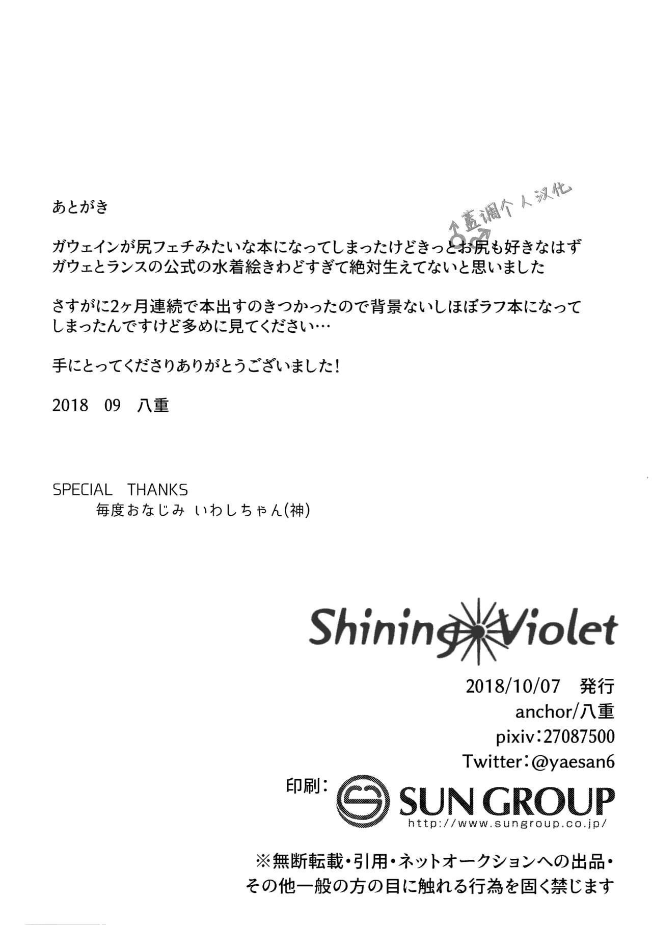 SPARK13 anchor 八重 Shining Violet FateGrand Order 中国翻訳-第1章-图片28