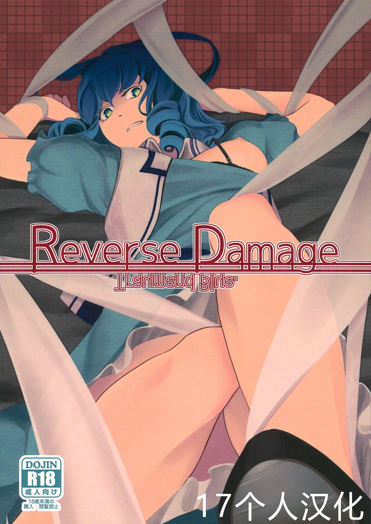 C97 フライングベア 飞熊 Reverse Damage 东方Project 中国翻訳