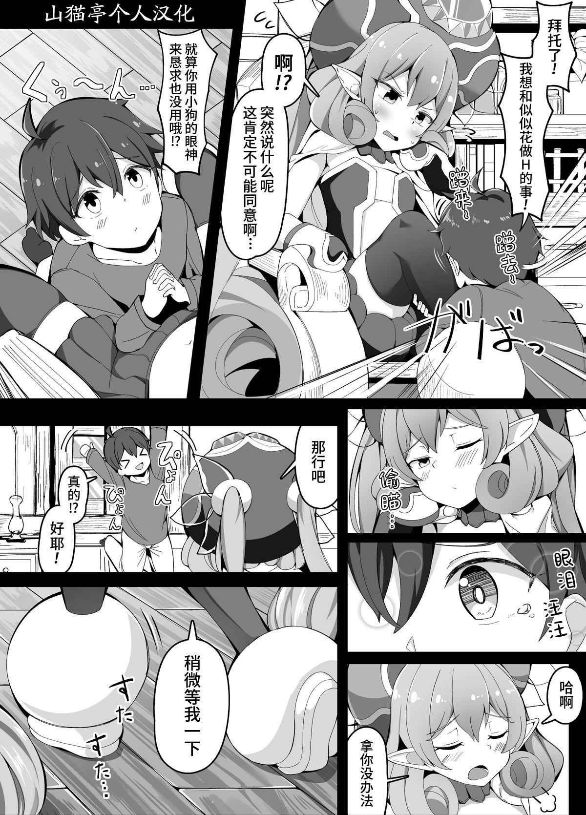 こらんだむ 分身（）を贷してくれるネネカ様 プリンセスコネクト!ReDive 中国翻訳