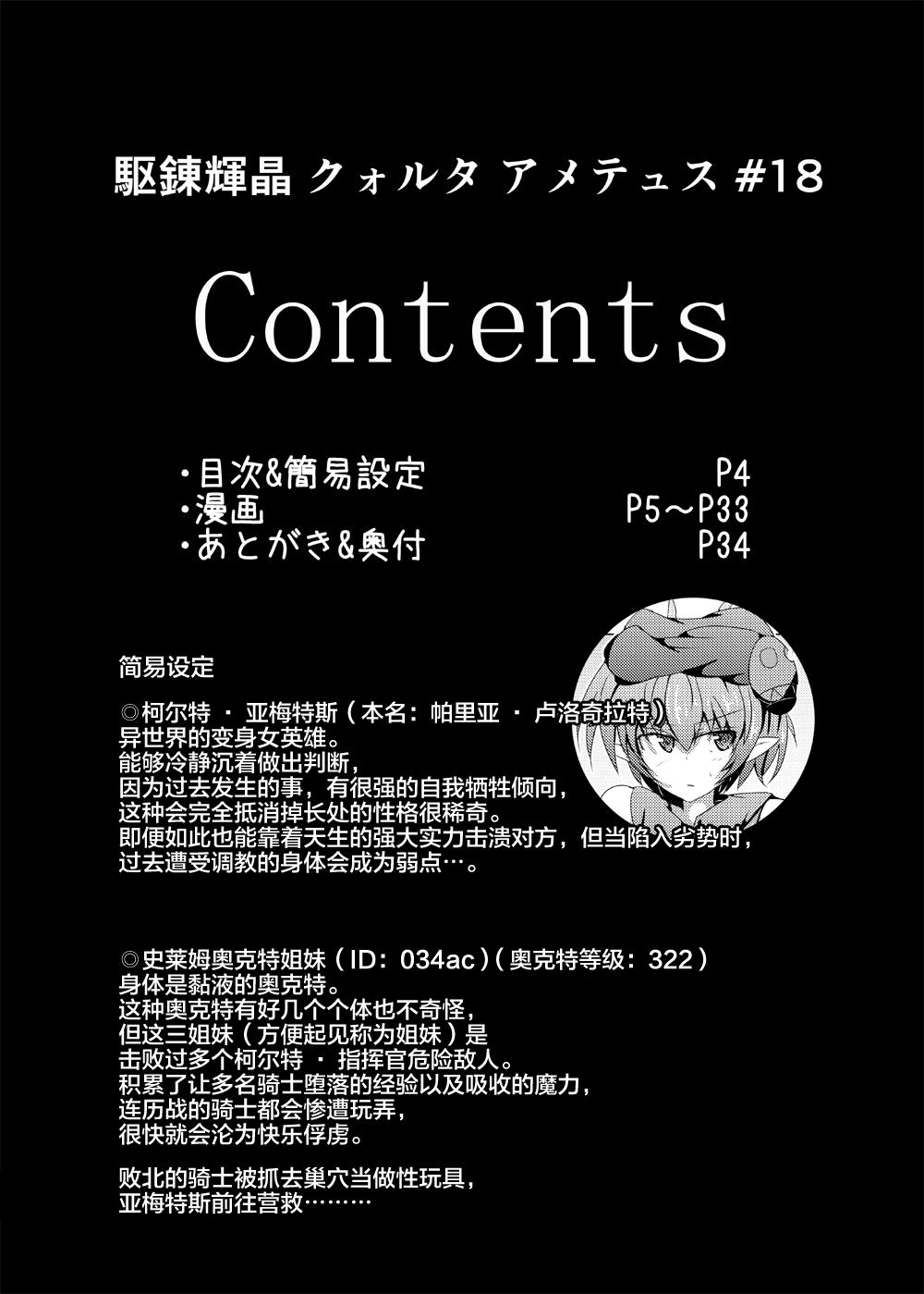 下り坂ガードレール しらそ 駆錬辉晶 クォルタ アメテュス 18 中国翻訳 DL版-第1章-图片4