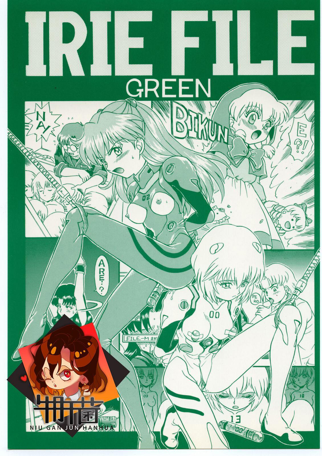 C54 RAT TAIL IRIE YAMAZAKI IRIE FILE GREEN 新世纪エヴァンゲリオン 赤ずきんチャチャ 中国翻訳