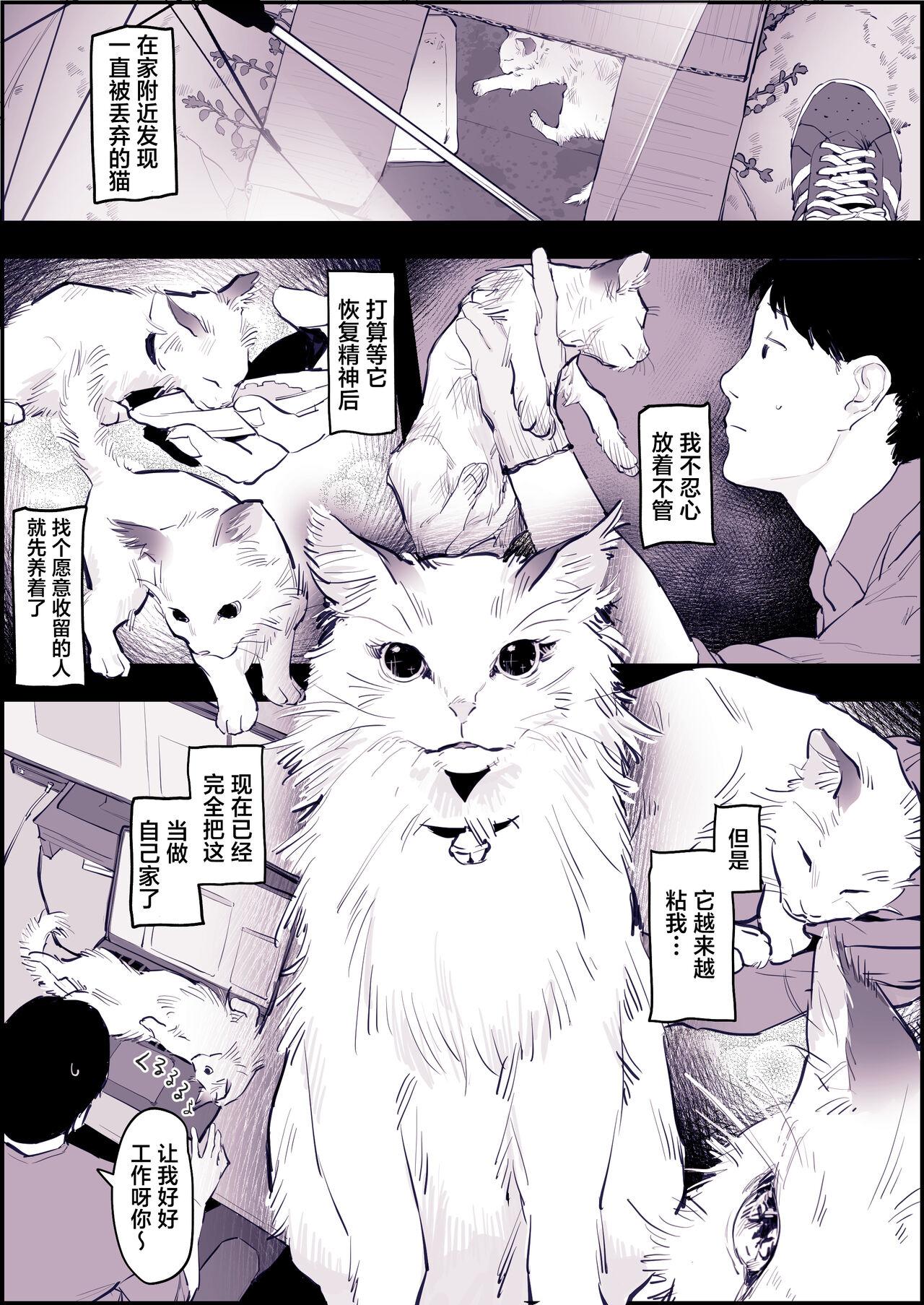 ぽりうれたん ねこ 中国翻訳 无修正-第1章-图片2