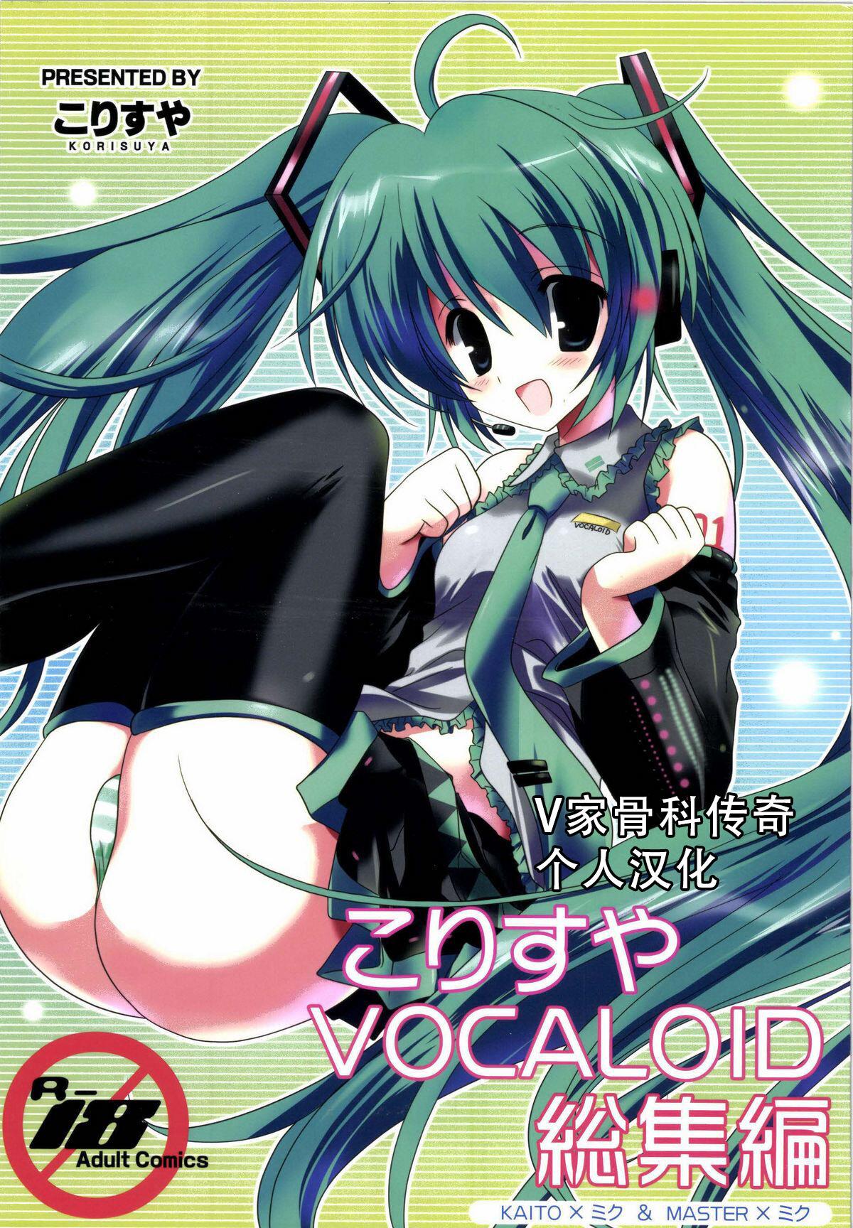 こりすや こりす こりすやVOCALOID総集编 VOCALOID 2012年2月15日中国翻訳