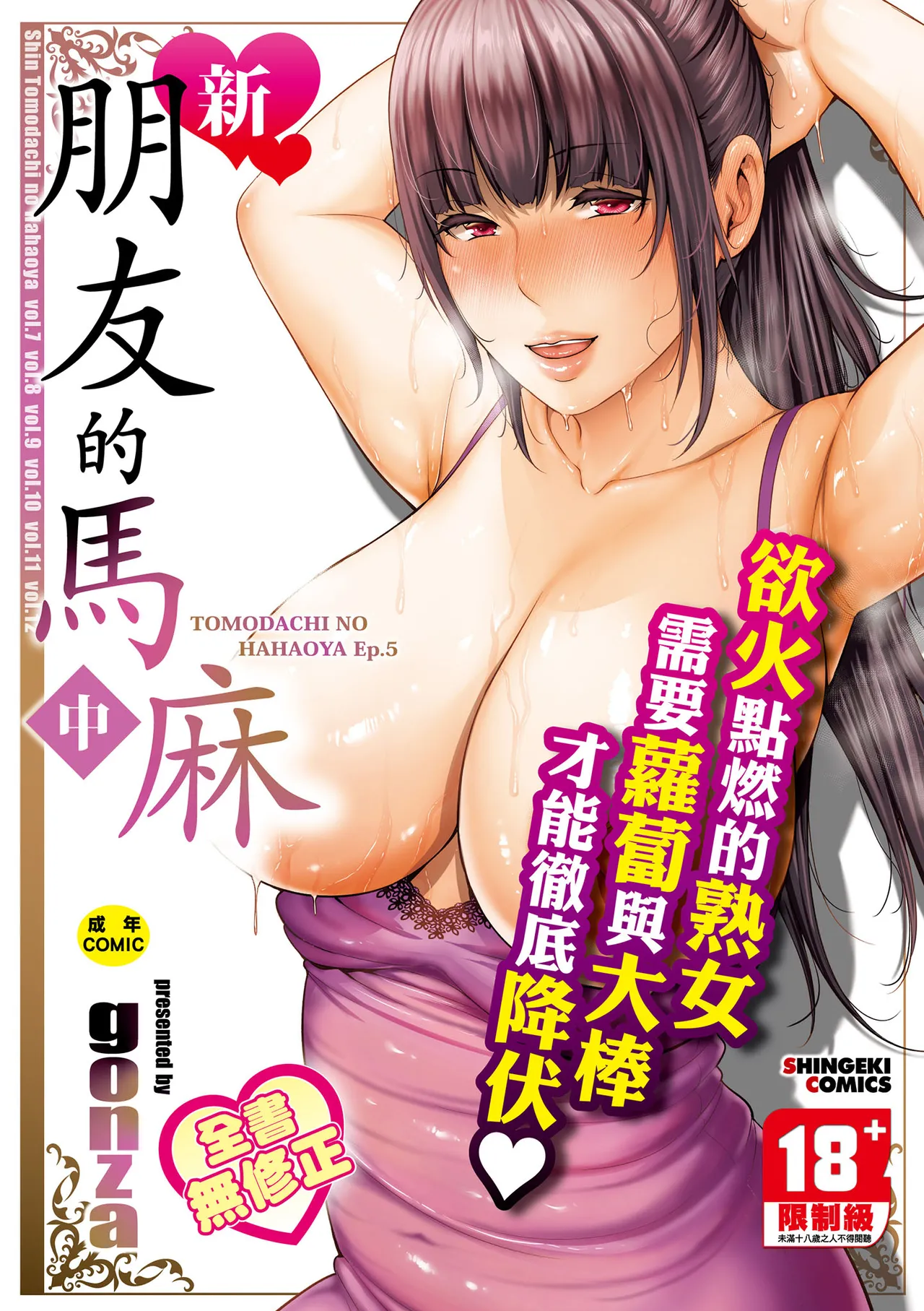 gonza 新・友达の母亲（中） 中国翻訳 无修正 DL版